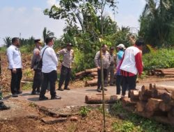 Soal Pulau Mendol, PT TUM Tegaskan Miliki Izin Lengkap