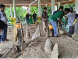 Dirusak OTK, Situs “Makam Jauh” Pelalawan Diperbaiki GP Ansor