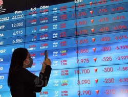 Rekor Baru Pasar Modal Tercipta di 2022, Apa Saja?
