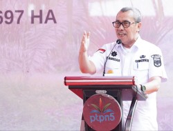 Senilai Rp27,5 T, Riau Tiga Besar Nasional Realisasi Investasi