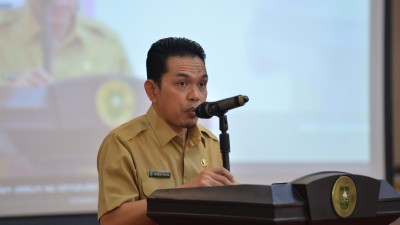 Pemprov Riau Tidak Anak Tirikan Meranti