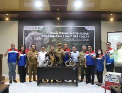 PHR Permudah Pantau dan Lindungi Gajah Sumatra dengan GPS Collar