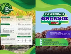 Ingin Buah Sawit Anda Ciamik, Pupuk Organik NW88 Solusinya