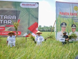 Afrizal Sintong Yakin Panen Raya Padi Nusantara 1 Juta Ha di Rimba Melintang Tercapai