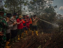 Gubernur Syamsuar Berjibaku Padamkan Karhutla di Dumai, Riau