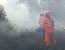 Kebakaran Hutan dan Lahan di Perbatasan Dumai-Bengkalis Riau Makin Meluas