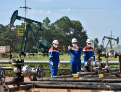 Menopang Energi Nasional, PHR Studi Potensi Minyak Non Konvensional di Kawasan Blok Rokan