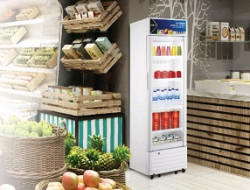 Tambah Keuntungan Bisnis Dengan Big Canopy Series!