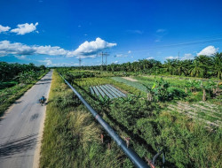 PHR Sosialisasi Risiko Penjualan Tanah Milik Negara: Teliti Sebelum Membeli Lahan