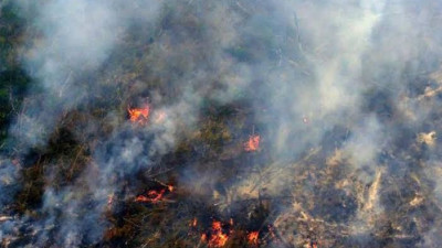 21 Titik Panas Ditemukan di Riau, Terbanyak di Kampar