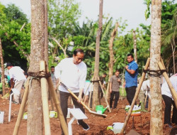 Jokowi Tanam Pohon Bersama Astra