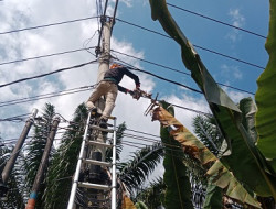 Ini Upaya PLN Icon Plus Tingkatkan Keandalan Jaringan dan Layanan di Minas Barat
