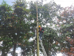 Tingkatkan Keandalan Jaringan, PLN Icon Plus Lakukan Penataan Kabel FO di Cipta Karya