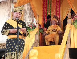 Tengku Haji Endrizal Sultan  Mahkota Alam, Jadi Raja Rokan