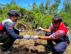 PHR Tanam Ribuan Pohon di Kawasan Balai Raja