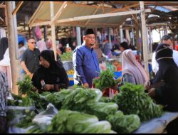 Blusukan ke Pasar Kampung Buantan Baru, Cawabup Syamsurizal Serap Aspirasi Pedagang