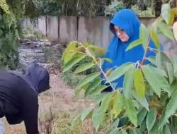 Rasa Syukur Menangkan PSU, Afni Ajak Relawan dan Simpatisan Tanam Pohon